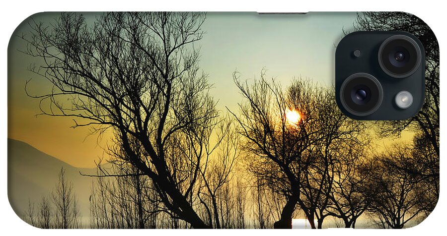 Tree iPhone Case featuring the photograph Sunlight between the trees #2 by Mats Silvan