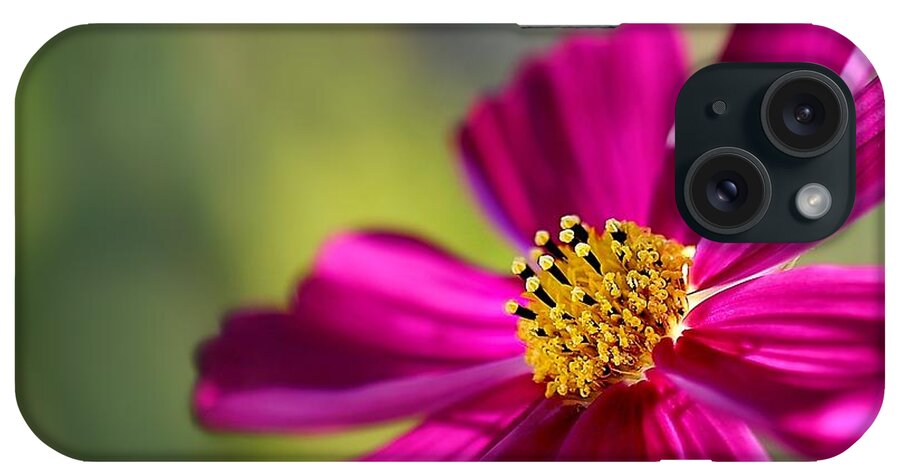 Flower iPhone Case featuring the photograph Yellow Dots #2 by Henrik Lehnerer