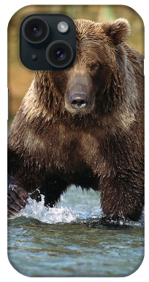 00600804 iPhone Case featuring the photograph Grizzly Bear Ursus Arctos Horribilis #2 by Matthias Breiter