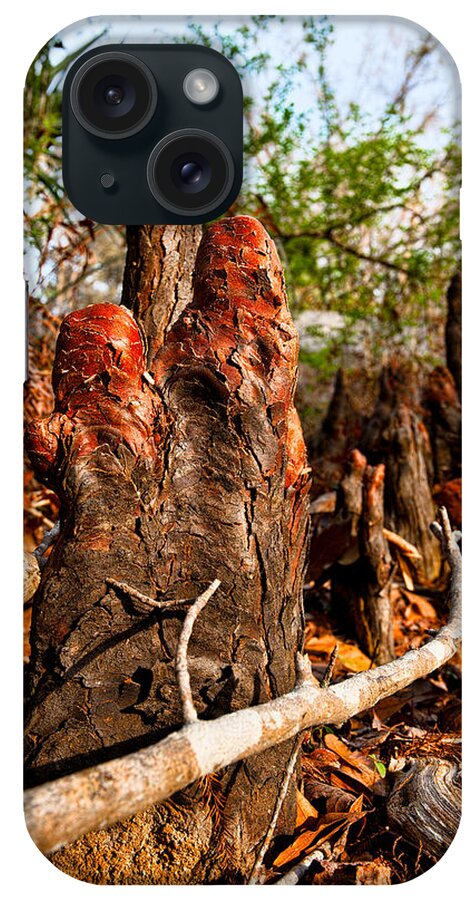 Christopher Holmes Photography iPhone Case featuring the photograph Cypress Knees #3 by Christopher Holmes