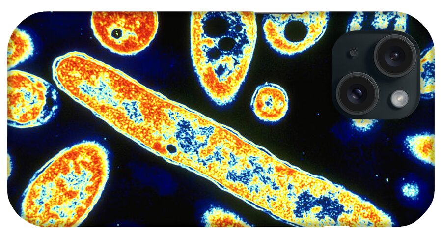 Transmitted iPhone Case featuring the photograph Legionella Pneumophila #3 by Science Source