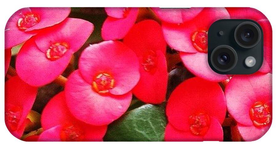 Instagram iPhone Case featuring the photograph Instagram Photo #391340501021 by Avatar Pics
