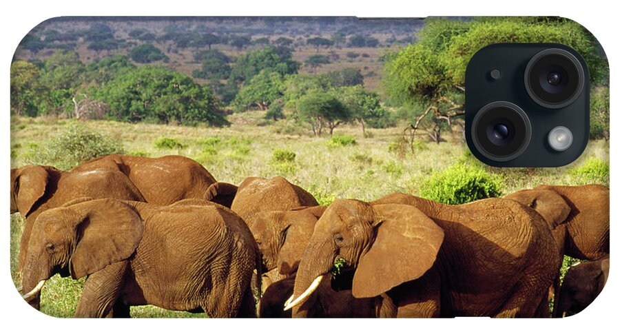 Mp iPhone Case featuring the photograph African Elephant Loxodonta Africana #4 by Gerry Ellis