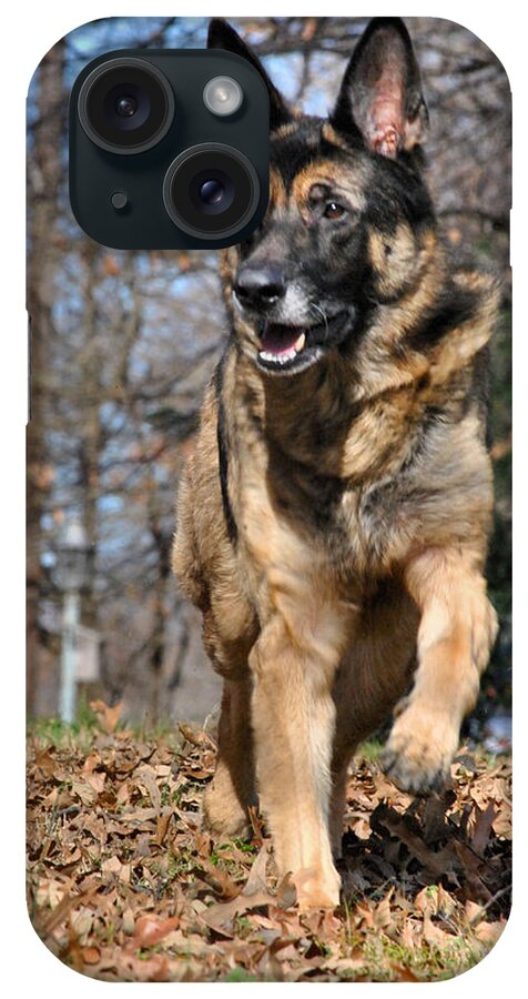 Animal iPhone Case featuring the photograph German Shepherd #4 by Jai Johnson