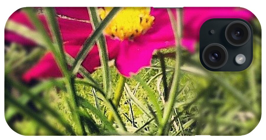 Macrogardener iPhone Case featuring the photograph #macro_flower #macrogardener #4 by Christina Pabustan