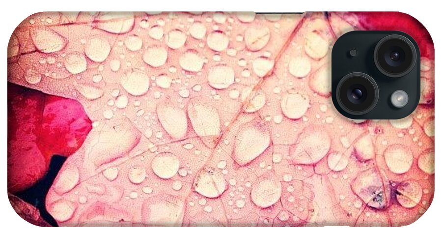  iPhone Case featuring the photograph Instagram Photo #461351264312 by Angela Davis