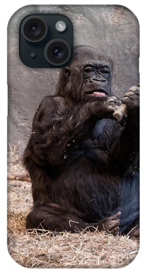 Animals iPhone Case featuring the digital art Gorillas #5 by Carol Ailles
