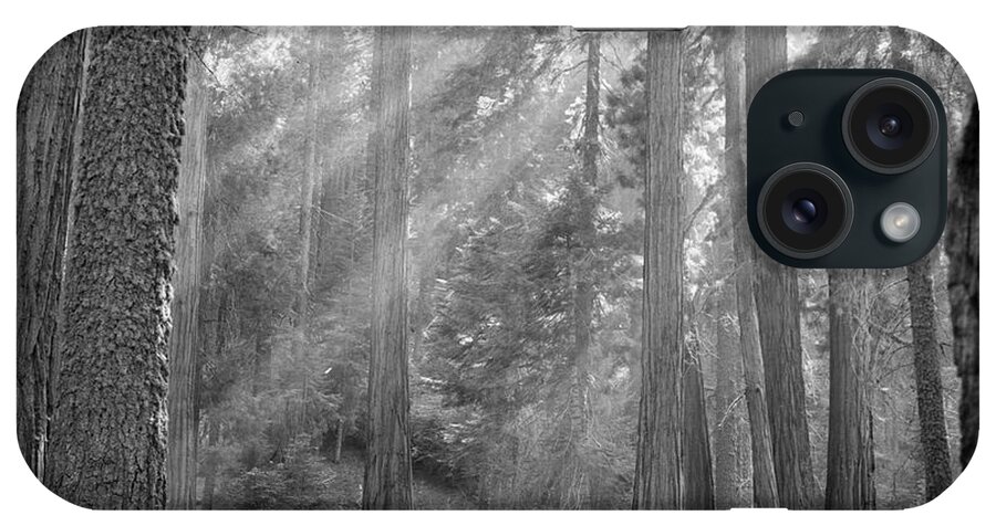 1957 iPhone Case featuring the photograph Sequoia National Park #5 by Granger