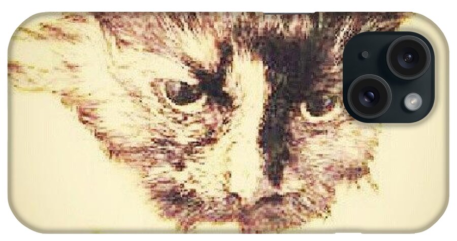  iPhone Case featuring the photograph Instagram Photo #521351973645 by Jinxi The House Cat