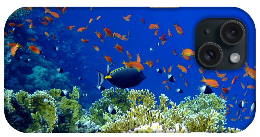 Surgeonfish iPhone Case featuring the photograph Underwater landscape #7 by MotHaiBaPhoto Prints