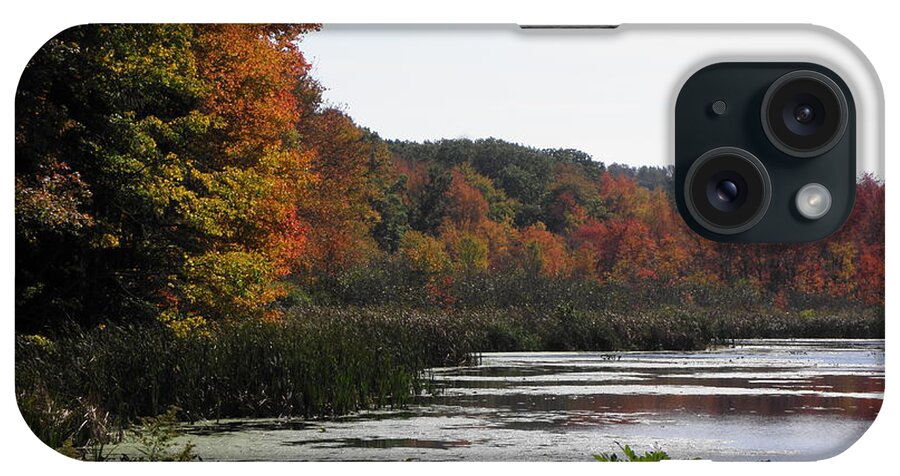 Fall iPhone Case featuring the photograph A Curve Of Color by Kim Galluzzo Wozniak