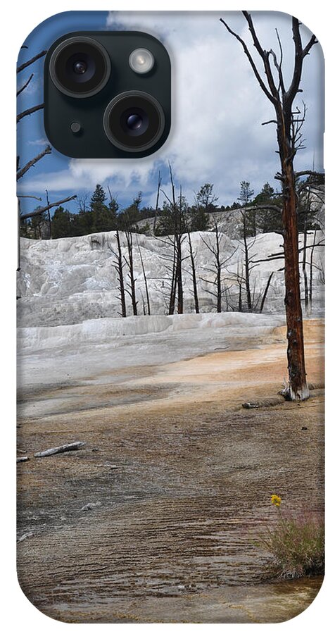 Mammoth Hot Springs iPhone Case featuring the photograph A flower blooms in Mammoth Hot Springs by Victoria Porter