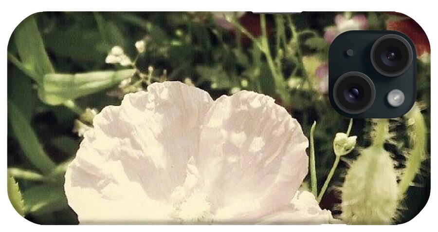 Beautiful iPhone Case featuring the photograph A Pink Poppy!! by Dahlia Ambrose