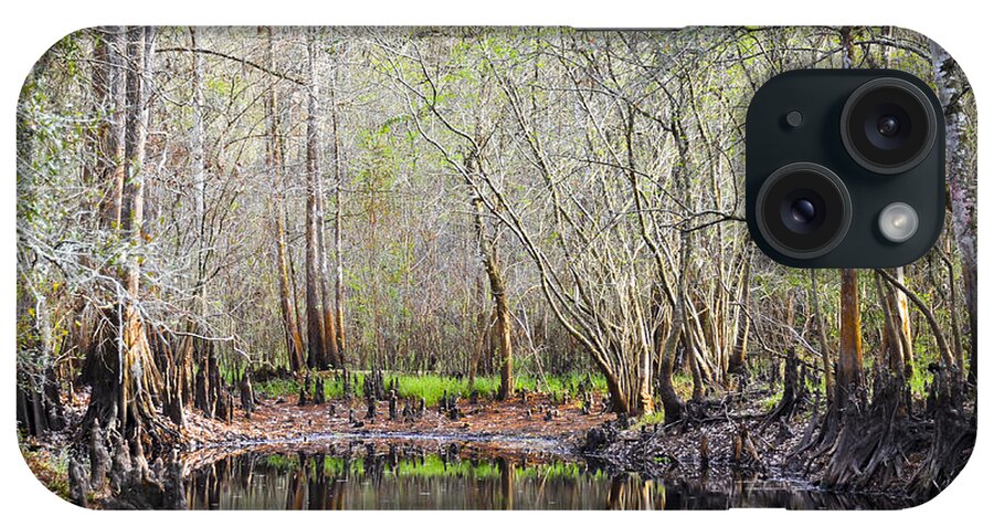 Cypress Trees iPhone Case featuring the photograph A Quiet Back Woods Place by Carolyn Marshall