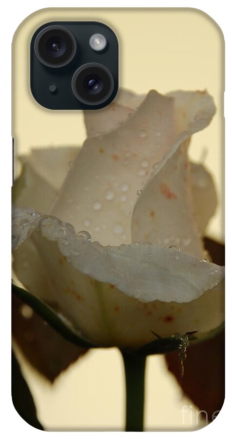 Rose iPhone Case featuring the photograph A Single White Rose by Randy J Heath