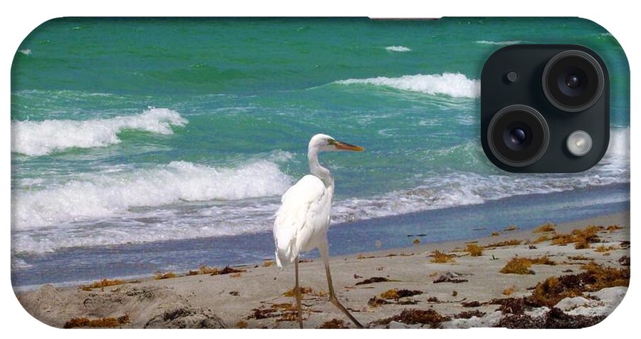 Beach iPhone Case featuring the photograph A Walk In Long Boat Key by Megan Ford-Miller