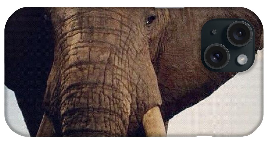 Africa iPhone Case featuring the photograph African Elephant by Crystal Peterson