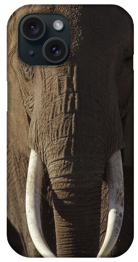 00172018 iPhone Case featuring the photograph African Elephant Male Portrait by Tim Fitzharris