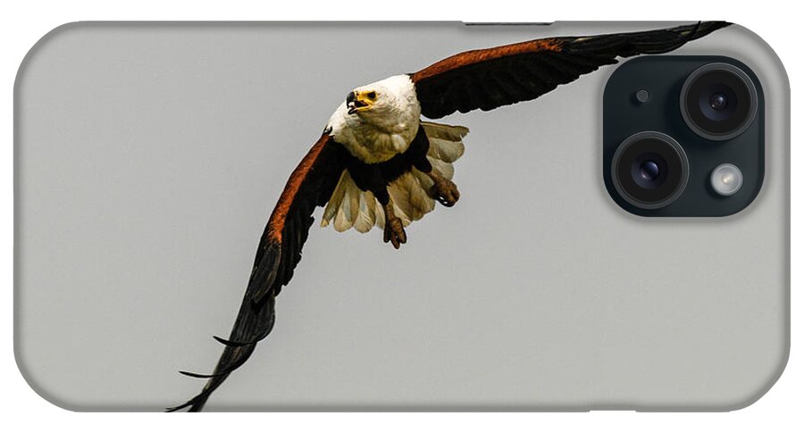  iPhone Case featuring the photograph African Fish Eagle by Alistair Lyne