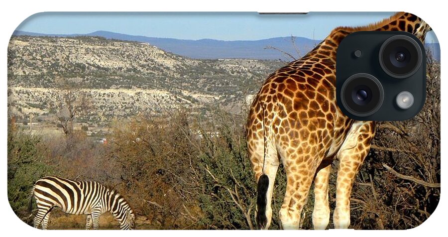 Giraffe iPhone Case featuring the photograph African Safari in Arizona by Kim Galluzzo