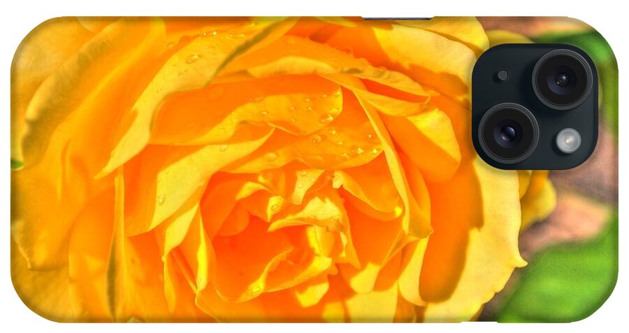  iPhone Case featuring the photograph After the Rain by Michael Frank Jr