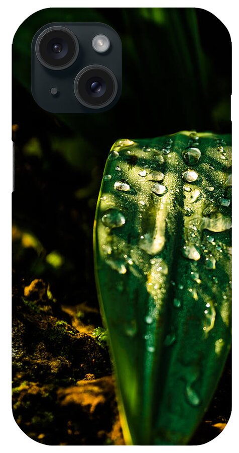 Abstract iPhone Case featuring the photograph After the rain by Michael Goyberg