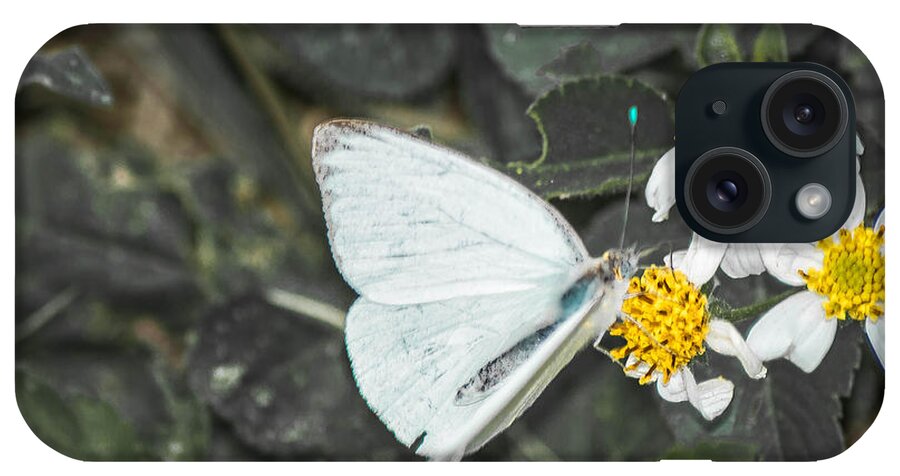 Moth iPhone Case featuring the photograph Alien Antenna by Shannon Harrington