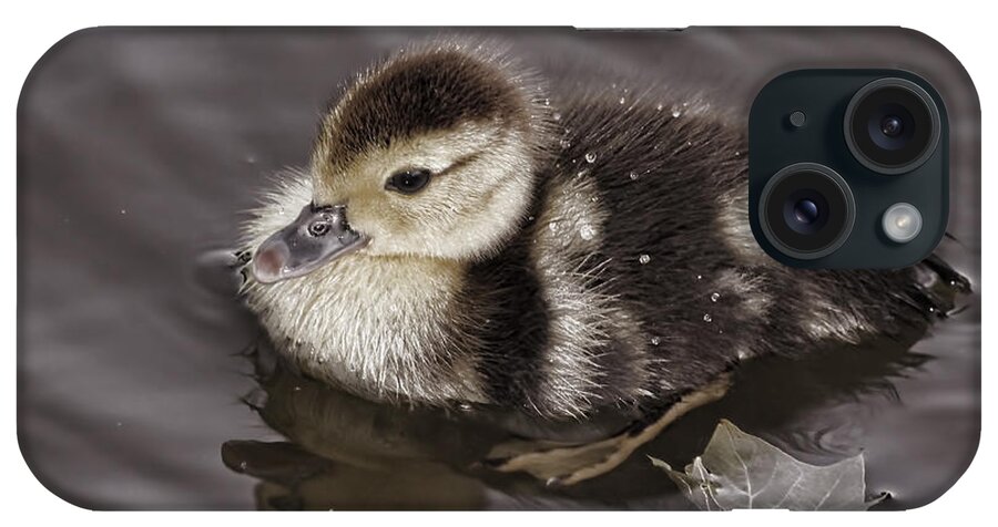Duckling iPhone Case featuring the photograph All By Myself by Deborah Benoit