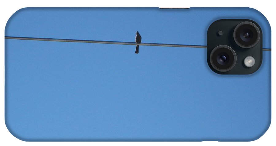 Bird iPhone Case featuring the photograph Alone at last by Kume Bryant