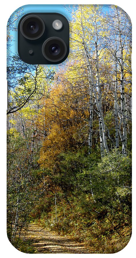Fall iPhone Case featuring the photograph Along the Back Road by Vicki Pelham