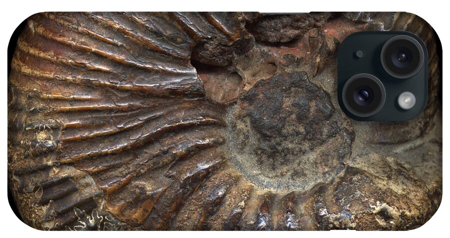 Fossil iPhone Case featuring the photograph Ammonite Front by David Kleinsasser