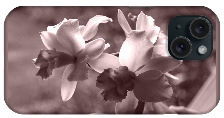 Orchid iPhone Case featuring the photograph An Orchid Dream by Kerri Ligatich