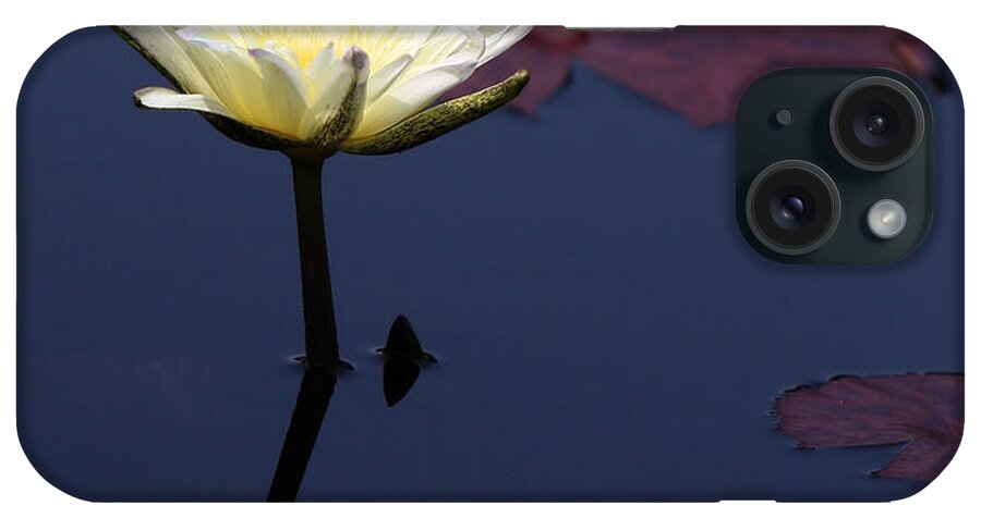 Water Lily iPhone Case featuring the photograph Angle of Reflection by Katherine White