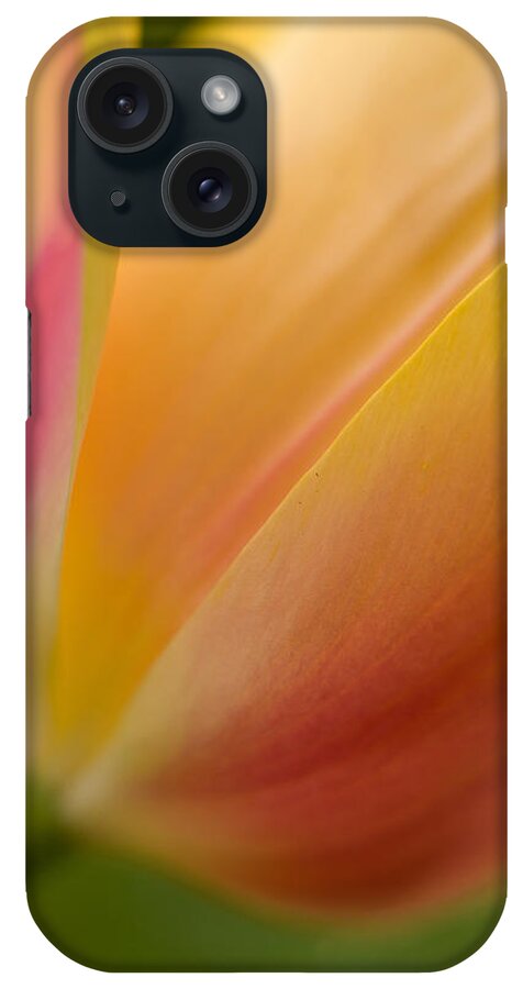 Tulip iPhone Case featuring the photograph April Grace by Mike Reid