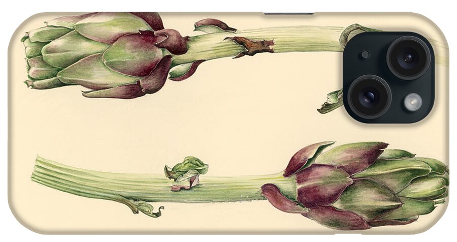 Artichoke; Bulb; Bulbs; Vegetable; Study; Artichokes; Vegetables iPhone Case featuring the painting Artichokes by Alison Cooper