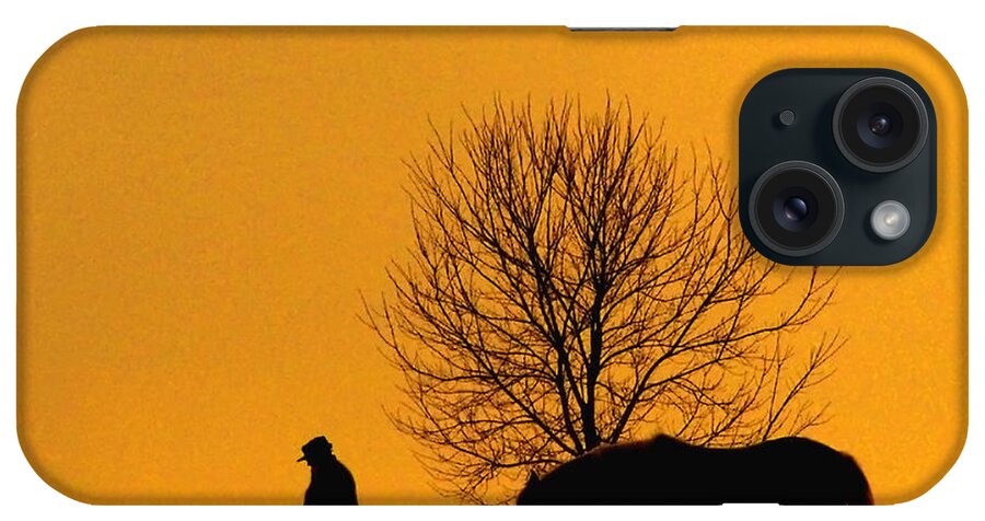 Horse iPhone Case featuring the photograph At The End Of The Day by Terry Doyle
