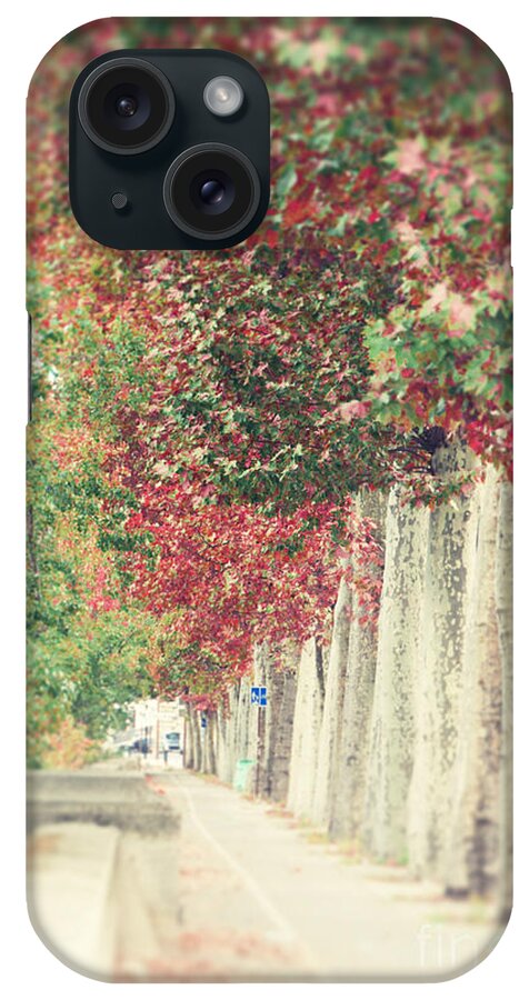 Autumn Fall Decor iPhone Case featuring the photograph Autumn and Fall by Ivy Ho