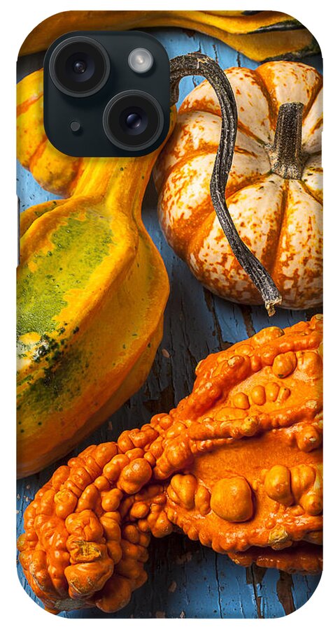 Autumn Gourd iPhone Case featuring the photograph Autumn gourds still life by Garry Gay