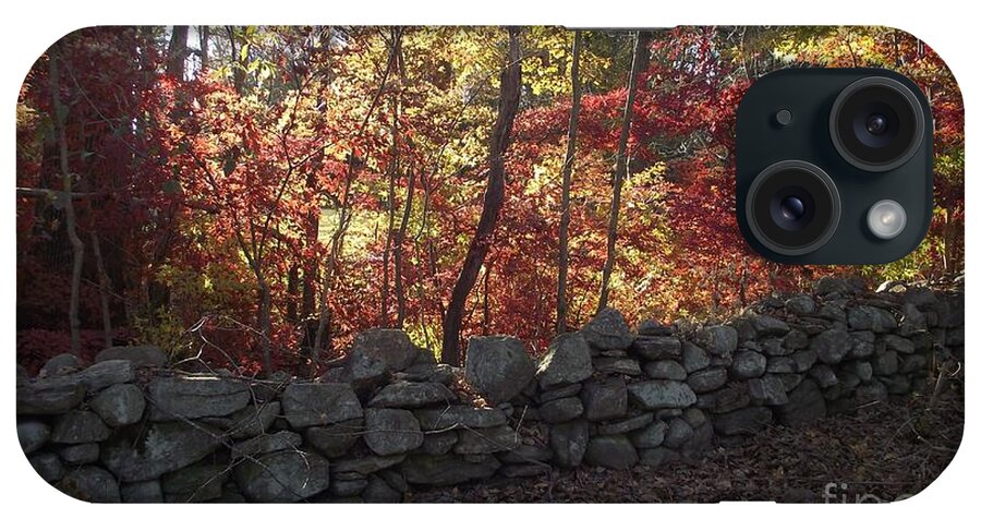 Stone Wall iPhone Case featuring the photograph Autumn in New England by Michelle Welles