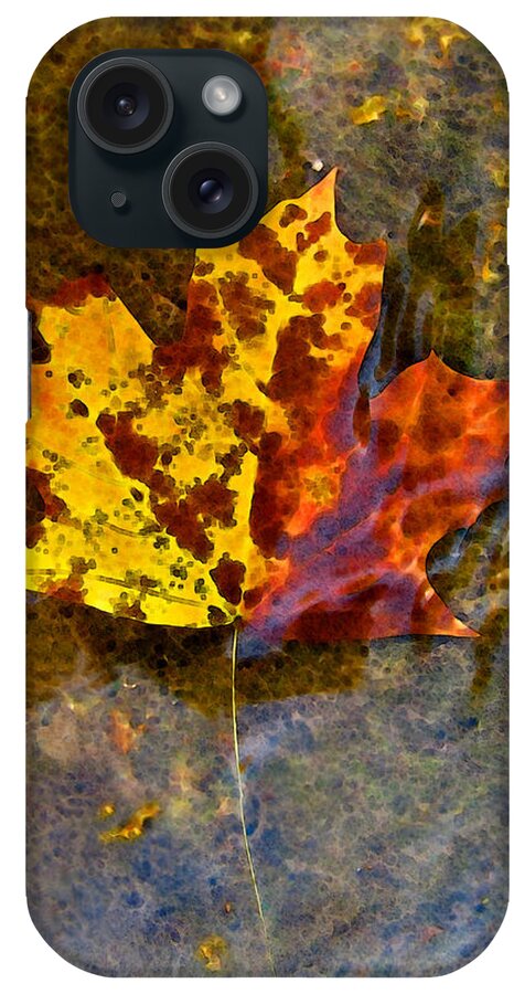 Botanical iPhone Case featuring the digital art Autumn Maple Leaf in water by Debbie Portwood