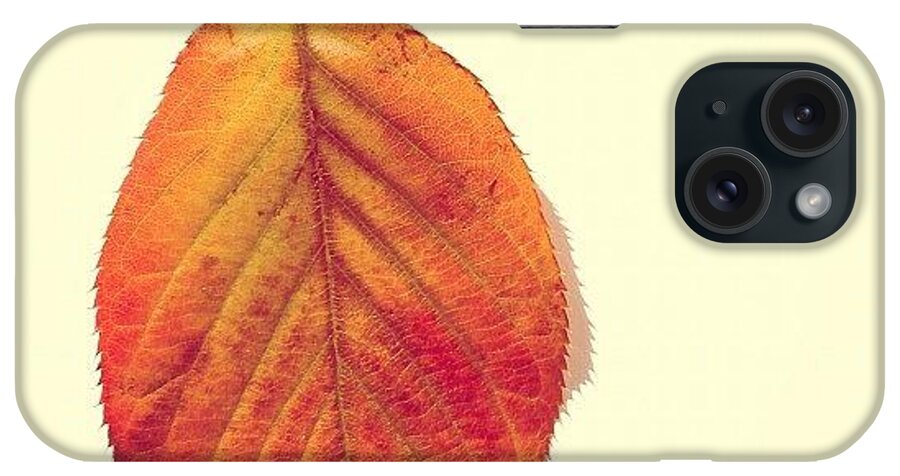 Autumn iPhone Case featuring the photograph Autumn by Nic Squirrell
