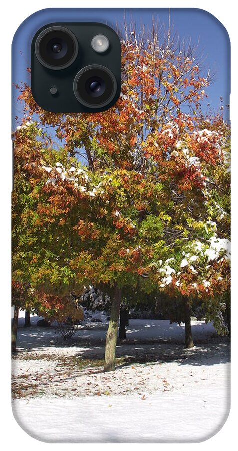 Landscape iPhone Case featuring the photograph Autumn Snow by Michelle Welles