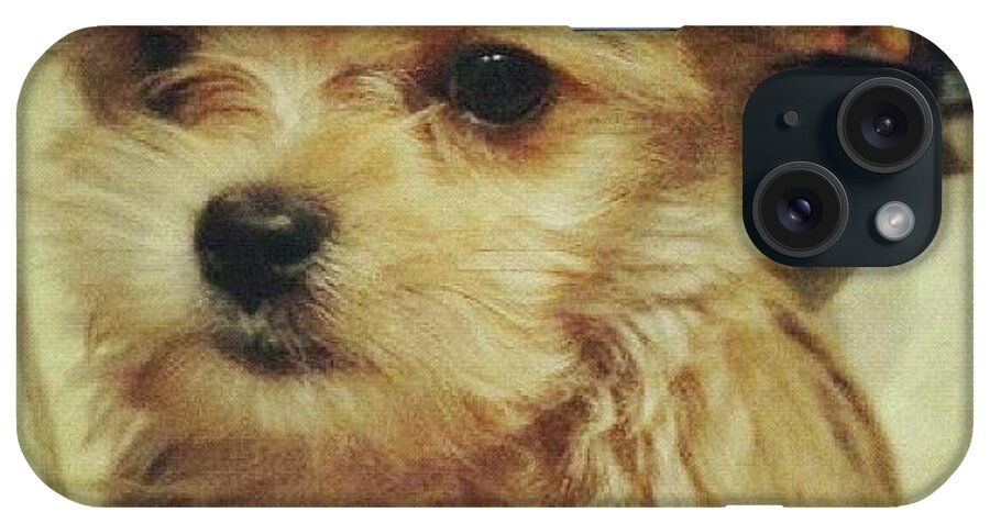Cute iPhone Case featuring the photograph Babyface #puppy #cute #adorable by Alli Angel