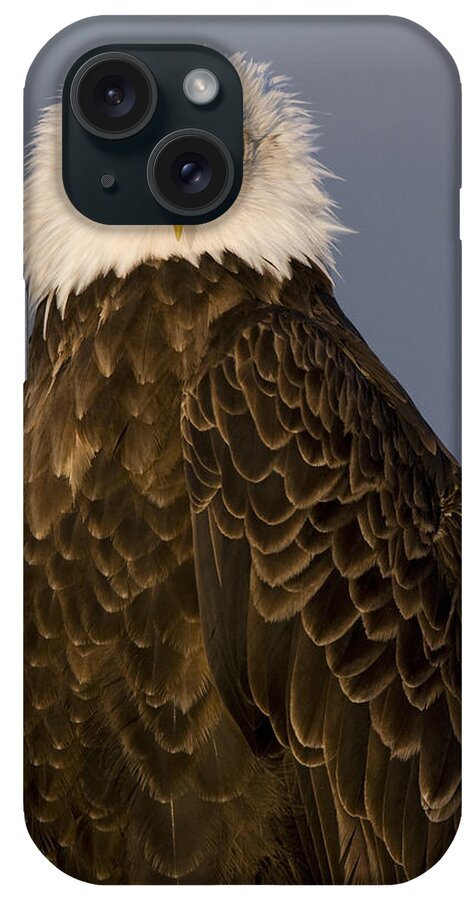 00429827 iPhone Case featuring the photograph Bald Eagle At Sunrise Lower Klamath by Sebastian Kennerknecht