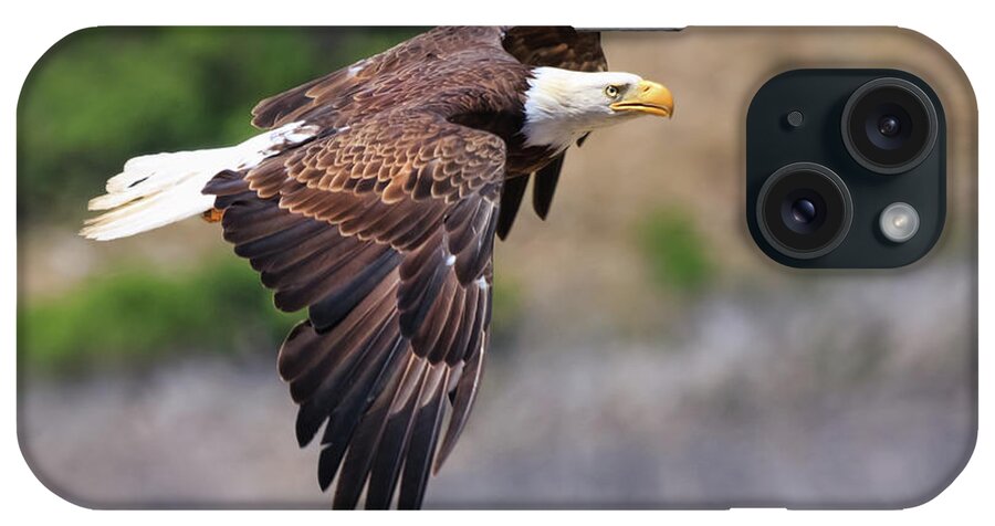Bald Eagle iPhone Case featuring the photograph Bald Eagle by Beth Sargent
