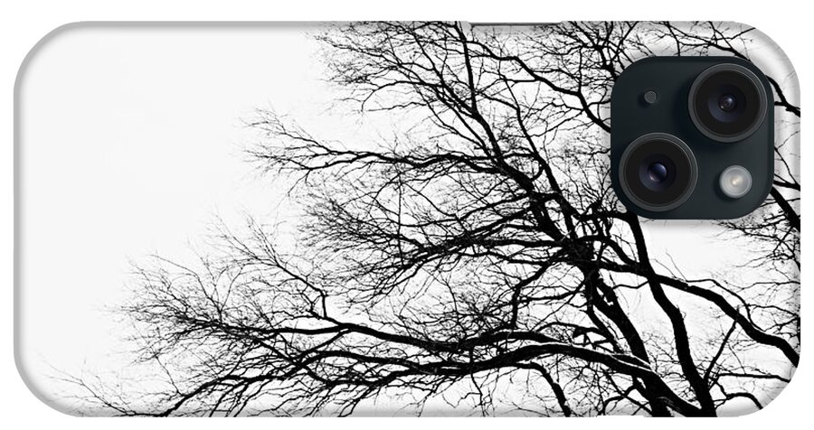 Photography iPhone Case featuring the photograph Bare Tree Silhouette by Larry Ricker