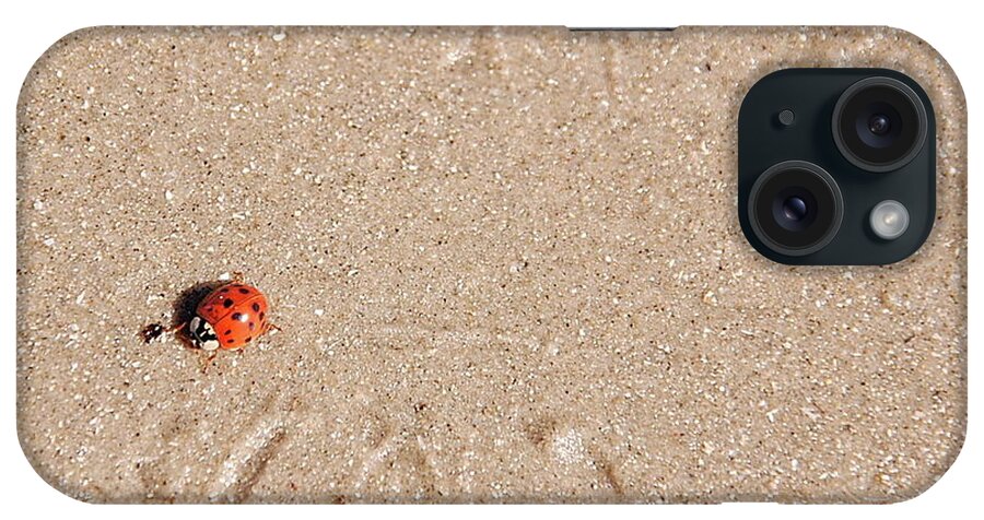 Beach iPhone Case featuring the photograph Beach Buggy by Ken Williams
