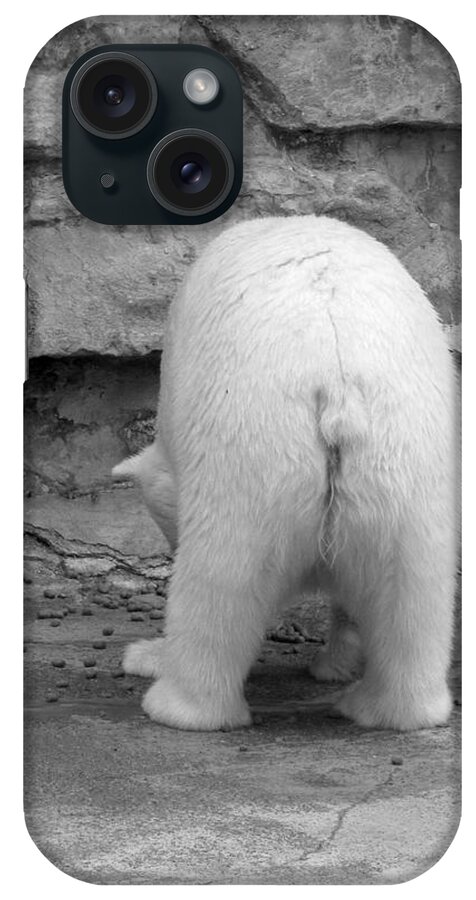 Polar iPhone Case featuring the photograph Bear Butt by Cindy Haggerty