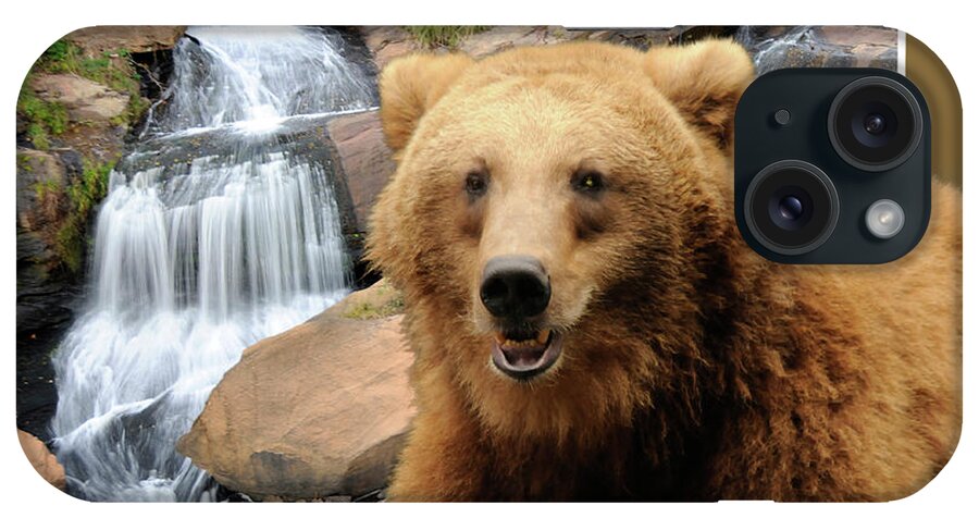 Bear iPhone Case featuring the photograph Bear Out Of Frame by Keith Lovejoy