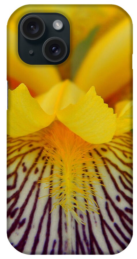 Bearded iPhone Case featuring the photograph Bearded Iris by Mark J Seefeldt